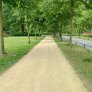 KoMex® Gelb in Münster