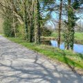 Wirtschaftsweg