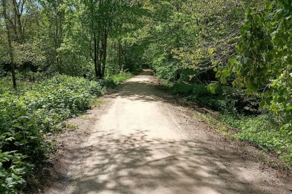 Westerveldse Bos, Zwolle: KoMex BIO Naturel Wanderwege und Radwege