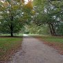 IMG_20221101_122330527