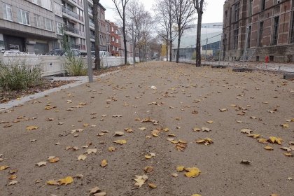 Gehweg KoMex BIO natur