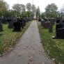 IMG_20221107_120201814_MFNR