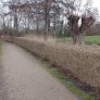 KoMex® BIO IJzendijke
