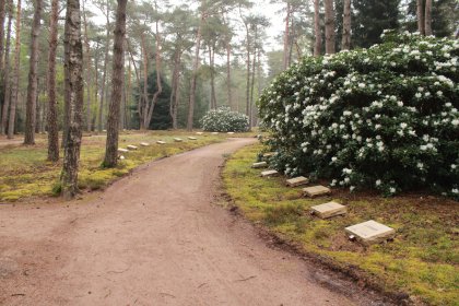 KoMex® rood Loenen