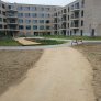 KoMex® jaune au Rivierenhof à Deurne