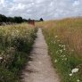KoMex® Naturel in Wieringerwerf