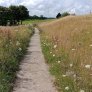 KoMex® Naturel in Wieringerwerf