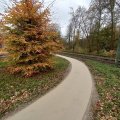 KoMex®-Wanderwege bieten eine nachhaltige Alternative zu Asphalt und tragen zur Verringerung von Hitzestress in städtischen und grünen Umgebungen bei.