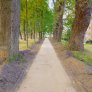 KoMex® BIO Naturell auf Stadtwall in Meppen