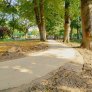 KoMex® BIO Naturell auf Stadtwall in Meppen