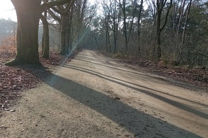 nachhaltiger Radweg