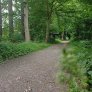 Sentier forestier DurEko-mix dans le parc Bürgermeister Bühner à Issum Sevelen