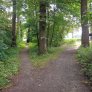Sentier forestier DurEko-mix dans le parc Bürgermeister Bühner à Issum Sevelen
