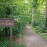 DurEko-Mix-Waldweg im Bürgermeister-Bühner-Park in Issum Sevelen