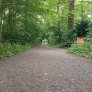 DurEko-Mix-Waldweg im Bürgermeister-Bühner-Park in Issum Sevelen