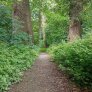 DurEko-Mix-Waldweg im Bürgermeister-Bühner-Park in Issum Sevelen