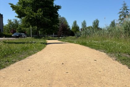 Revêtement semi-dur du parc sportif Couwenhoek KoMex BIO Jaune, près du parc Anna Marie van Capellen