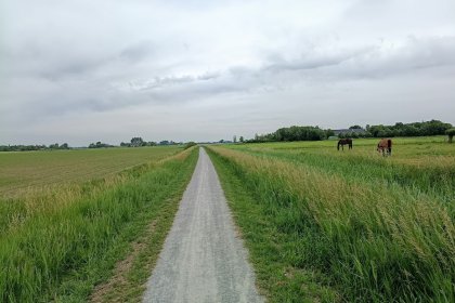 halfverharding onderwierum