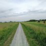 halfverharding onderwierum