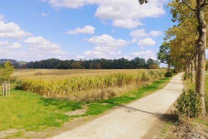 komex bio naturel fietspad Arnsberg vliegveld Arnsberg-Menden