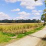 Radweg KoMex BIO Naturell Arnsberg Flughafens Arnsberg-Menden wassergebundene bio wegedecke
