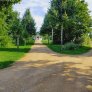 KoMex® geel Haren