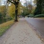 KoMex® BIO Naturel Groningen