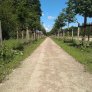 KoMex BIO Naturel Paleis het Loo